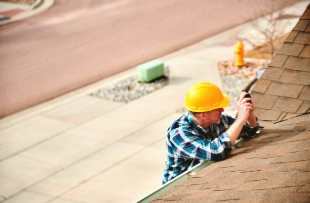 Best Roof Gutter Cleaning  in Loughman, FL